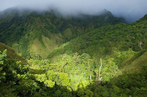 Boiling Lake Dominica