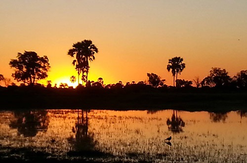 Botswana_Okavango Delta
