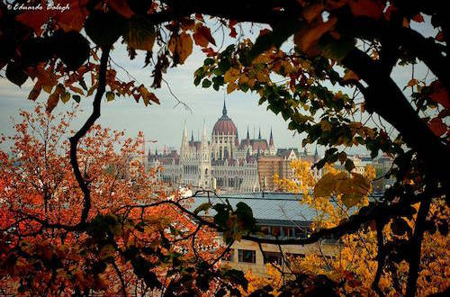 Cathedral Though The Trees in Hungary