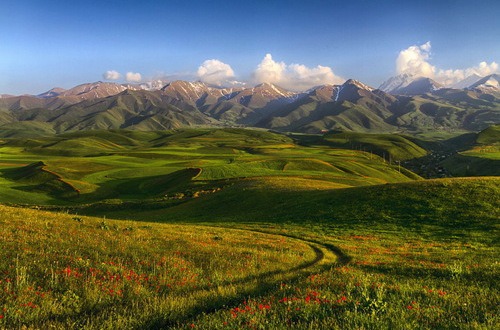 Green Fields Blue Skies Clouds and Mountains