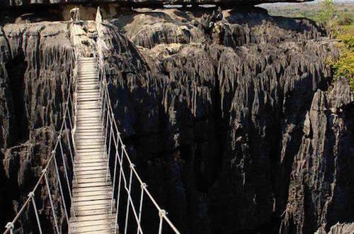 Rock Forest Madagascar