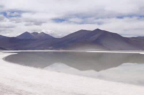 Salar de Talar_Chile