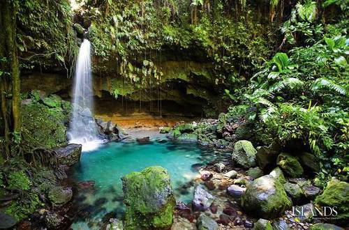 Emerald Pool Dominica