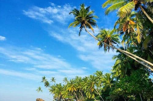 unawatunabeach_Sri Lanka