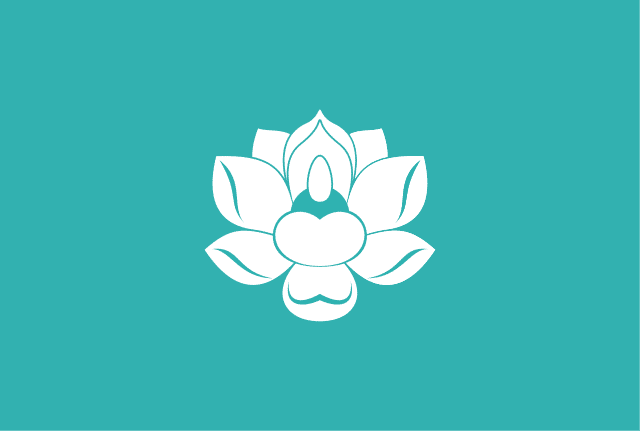 Flag of the Sinŭiju Special Administrative Region