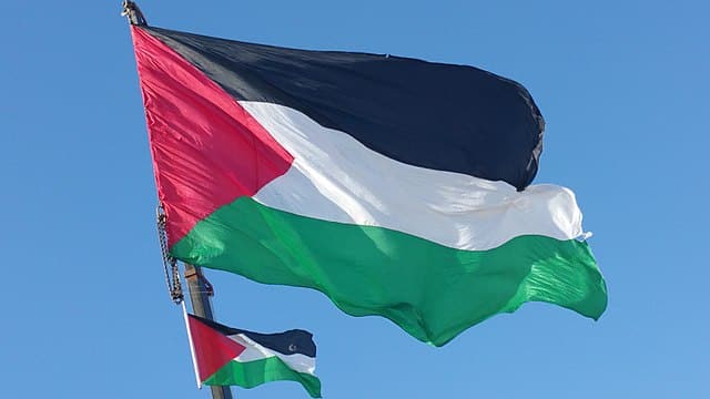 Flag: A variant of the flag of Palestine used in some period of